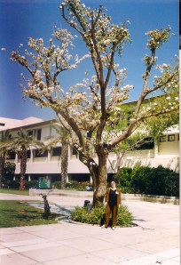 1999г. Израиль в кибуце на семинаре 