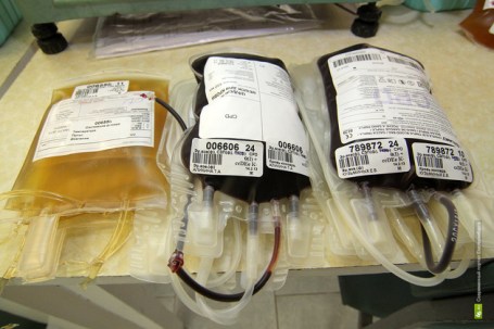 Продукция в ожидании результатов анализов Продукция в ожидании результатов анализов