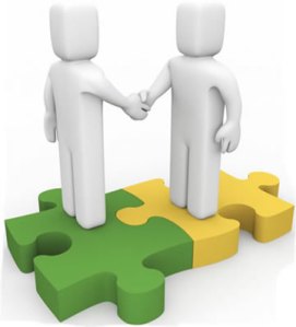 профессиональные и образовательные стандарты